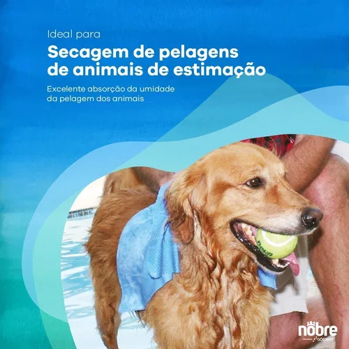 Imagem do produto Toalha Multisec Automotiva Seca Não Risca Efeito Pano Mágico Cor Azul